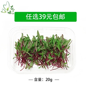 【花味鲜】新鲜蔬菜苗摆盘装饰