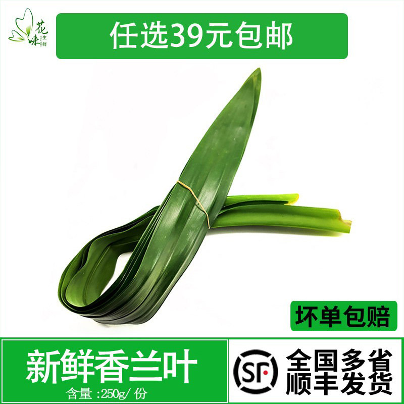 新鲜香兰叶 斑斓叶 甲抛叶 泰国香料蛋糕原料摆盘装饰烘焙奶茶