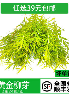 西餐日料烘焙花草摆盘装饰点缀