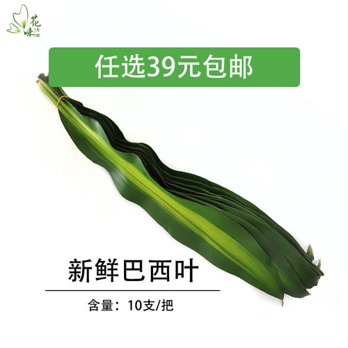 新鲜 巴西木叶 水木叶 摆盘10片食用花酒店饭店西餐摆菜盘装饰