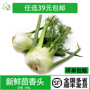 【花味鲜】新鲜蔬菜茴香头 球茎茴香根500g 西餐酒店料理食材香料