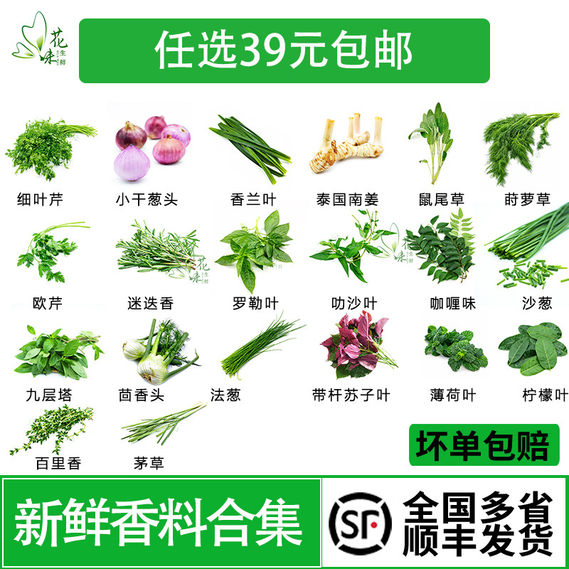 法餐西餐香草香料食材蔬菜包邮