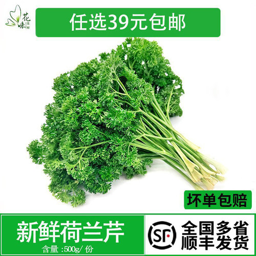 新鲜荷兰芹反西蕃茜法酒店饭店
