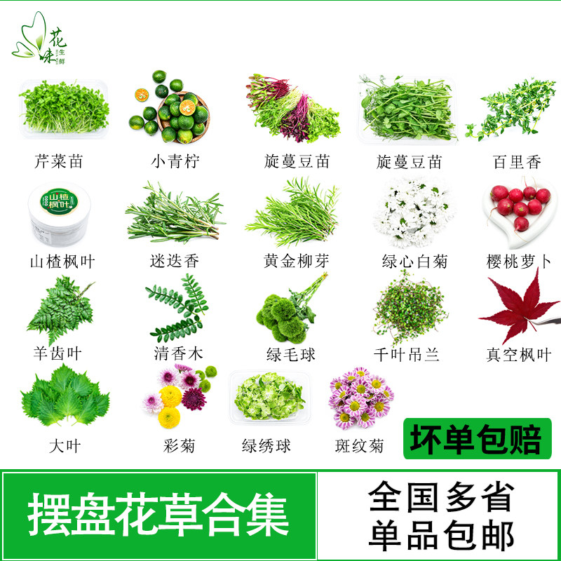 菜品冷菜摆盘装饰花草点缀