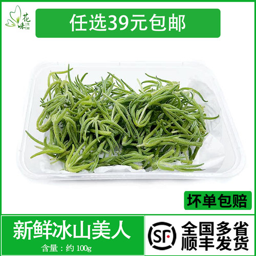 冰山美人新鲜采摘酒店摆盘点缀