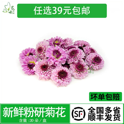 酒店西餐摆盘日料蛋糕烘焙装饰