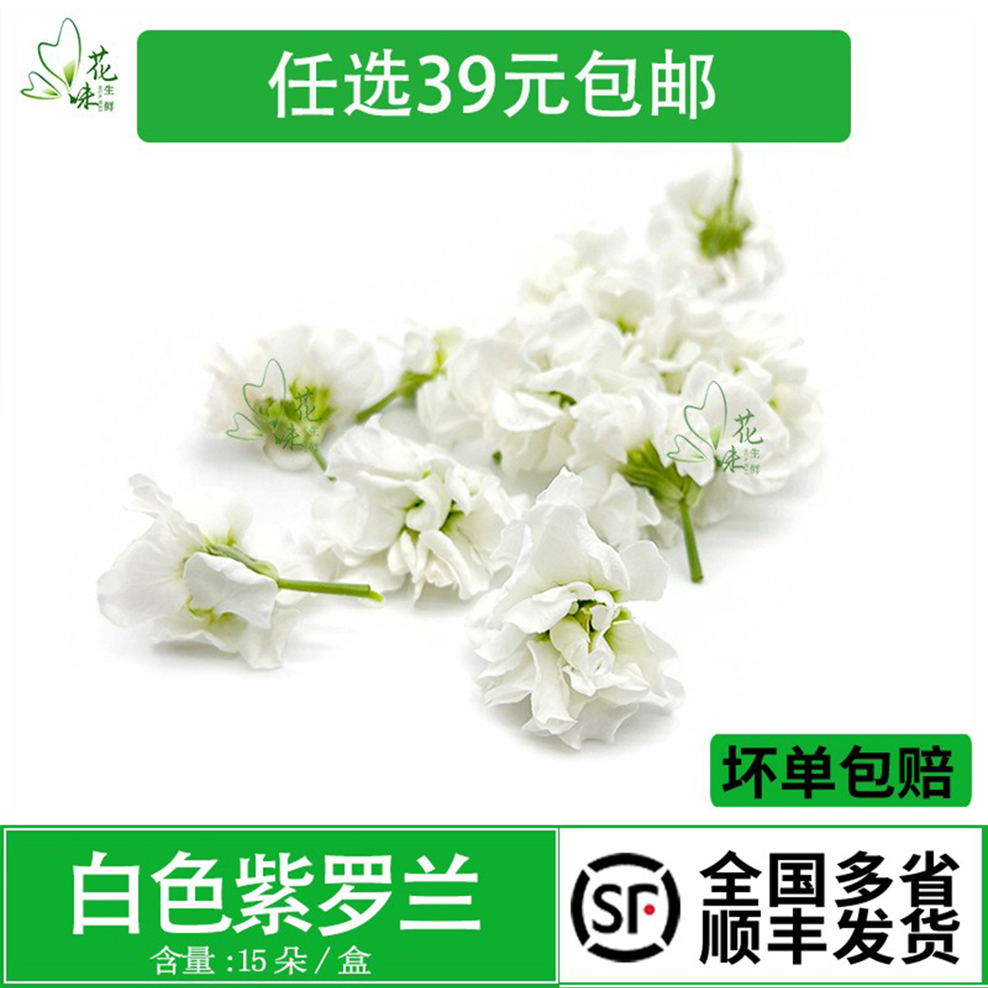 装饰酒水烘焙装饰点缀鲜花草