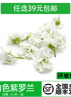 白色装饰花 紫罗兰白色 酒店西餐摆盘装饰酒水烘焙装饰点缀鲜花草