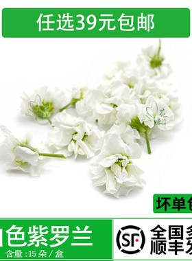 装饰酒水烘焙装饰点缀鲜花草