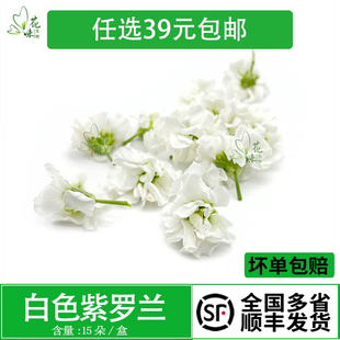 白色装饰花 紫罗兰白色 酒店西餐摆盘装饰酒水烘焙装饰点缀鲜花草