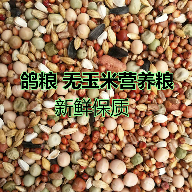 鸽粮无玉米幼鸽饲料鸟食信鸽观赏鸽肉鸽粮保健砂幼鸽料粮5斤