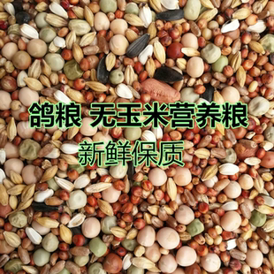 鸽粮无玉米幼鸽饲料鸟食信鸽观赏鸽肉鸽粮保健砂幼鸽料粮5斤