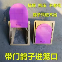 鴿子帶門進(jìn)口信鴿進(jìn)門賽鴿歐式出口比賽進(jìn)籠鴿具活絡(luò)門跳籠放飛門