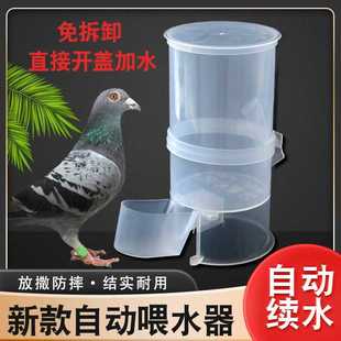 新款鸽子鸟用饮水器信鸽用具自动水壶鹦鹉喂水杯芦丁鸡小鸡饮水槽