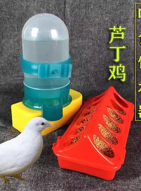 芦丁鸡自动喂水壶喂食器鸽子饮水器导水器鹦鹉喂食器鸟食盒食槽