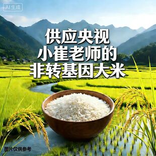 非转基因大米新米当季太极米浆粥熬米油儿童补津液专用粳米珍珠米