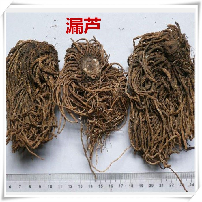 漏芦500克包邮漏芦个 漏芦片 漏芦段别名狼头花 野兰 鬼油麻 龙葱