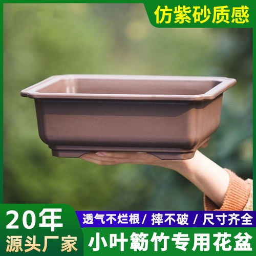 小叶簕竹专用仿紫砂加厚塑料花盆