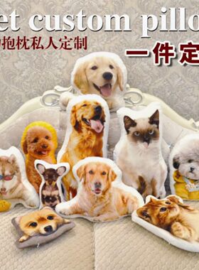 宠物抱枕双面定制毛绒DIY纪念