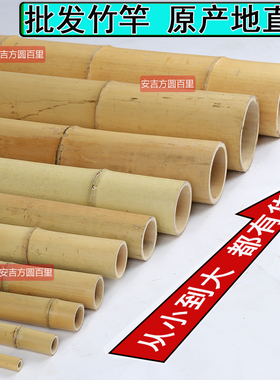 防腐竹竿装饰竹子隔断搭架竹子杆长竹竿造景支架楠竹杆竹竿棍杆子