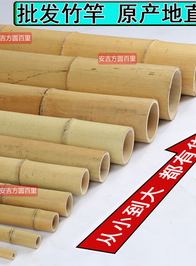 装饰竹竿防腐竹子楠竹竹竿棍批发