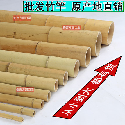 防腐竹竿装饰竹子隔断搭架竹子杆长竹竿造景支架楠竹杆竹竿棍杆子
