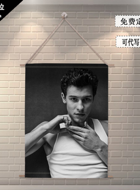 Shawn Mendes肖恩蒙德兹萌德周边海报写真布艺装饰挂画来图定制做