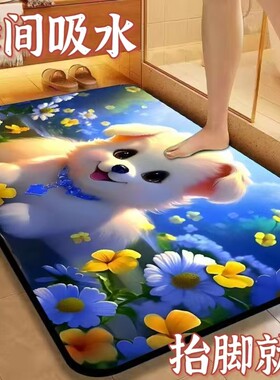 硅胶垫卫生间入门硅藻泥地毯浴室厕所家用吸水防滑耐脏地垫脚垫子