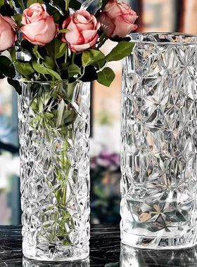 玻璃花瓶摆件客厅插花轻奢高级感水养鲜花水培富贵竹专用大号直筒