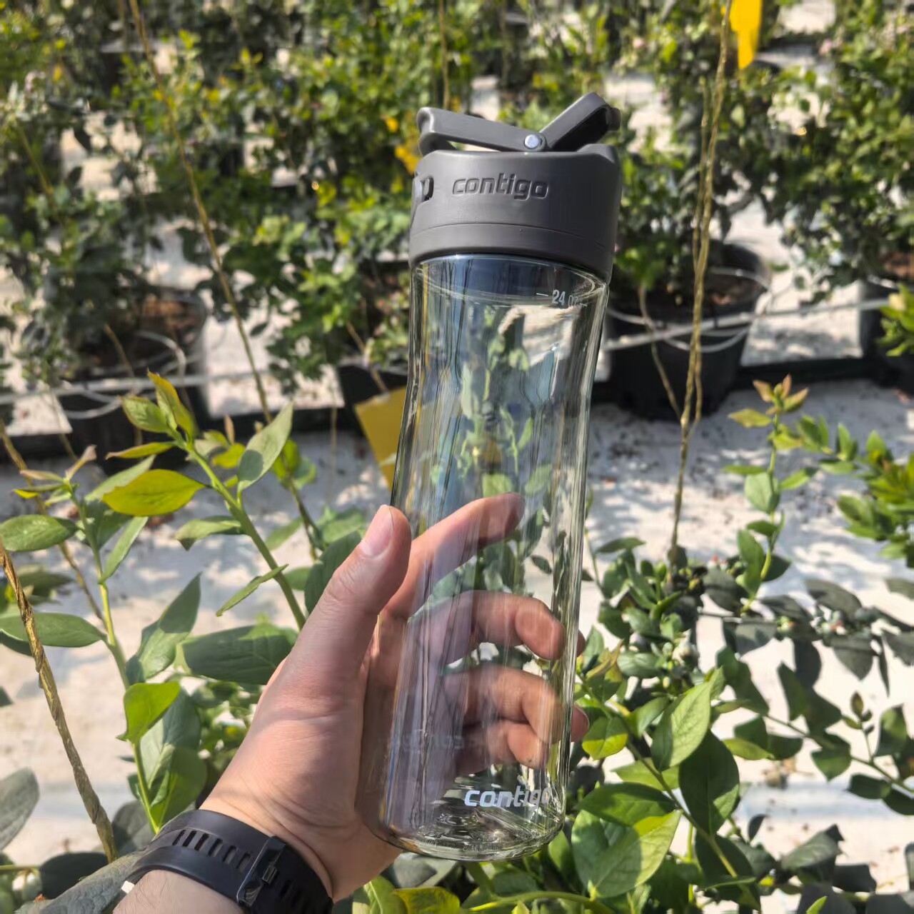 美国康迪克成人运动水杯防漏吸管杯健身直饮杯学生水壶夏季水杯