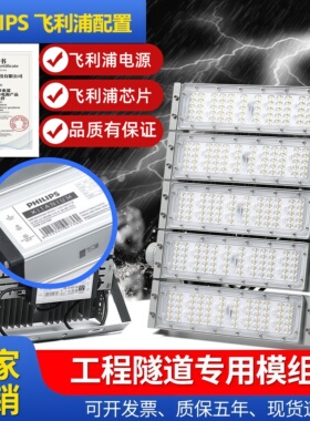 飞利浦驱动芯片LED隧道灯模组投光灯户外防水广场灯庭院灯球场灯
