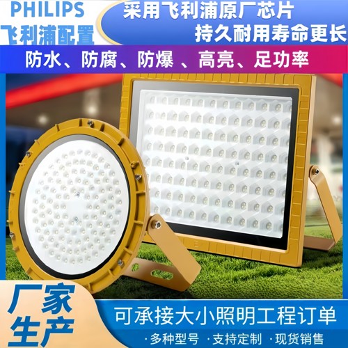 飞利浦LED防爆灯油站防爆投光灯