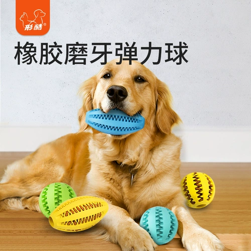 Собачья игрушечная мяч, чтобы кусать маленькие большие собачьи края