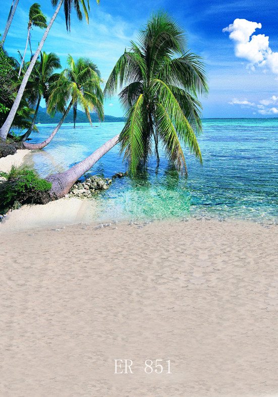 影楼摄影背景纸高清风景大海椰树 沙滩婚纱背景直播风景海边背景