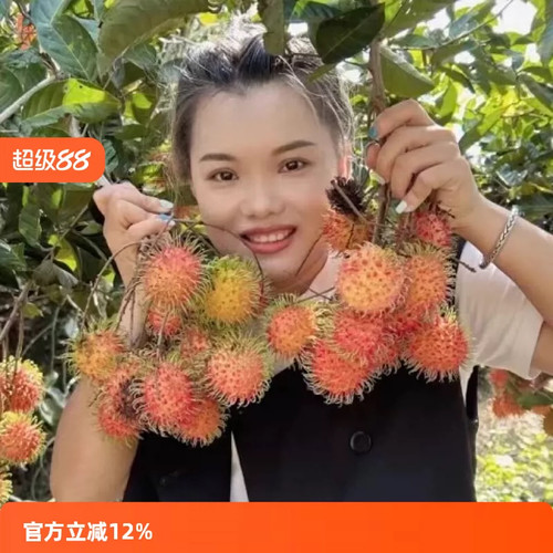 空运海南保亭红毛丹当季新鲜孕妇水果现摘现发果毛易氧化会有黑毛