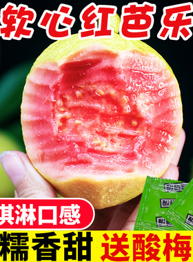 广西软心芭乐红心番石榴 新鲜水果当季整箱5斤包邮软糯珍珠土巴乐