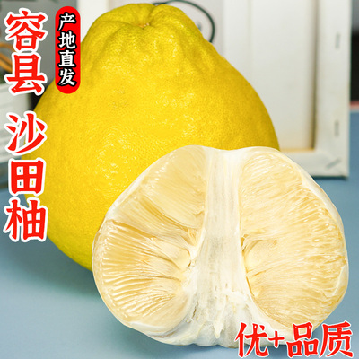 纯香果广西容县沙田柚大果柚子白心水果新鲜蜜柚9斤当季白柚整箱5