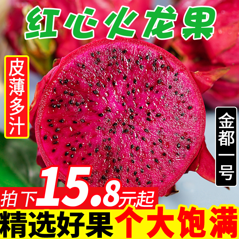 纯香果 金都一号红心火龙果大果5斤水果新鲜红龙果肉应季整箱包邮