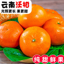 包邮 砂糖皇帝蜜柑整箱 云南高山沃柑10斤水果新鲜大果桔子橘子当季