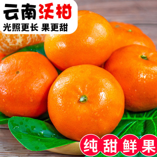 包邮 砂糖皇帝蜜柑整箱 云南高山沃柑10斤水果新鲜大果桔子橘子当季