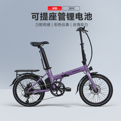 凤凰20寸可拆卸锂电代驾电助力