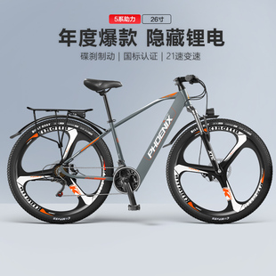 凤凰锂电池代步电动自行车新国标成人助力电动车男女士电瓶车单车