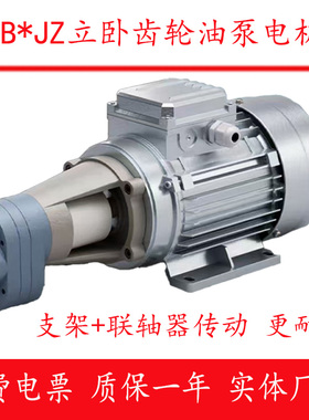 CB-B10 B4JZ齿轮油泵电机CB-B6JZ 2.5JZ立卧润滑油泵0.37/0.55KW