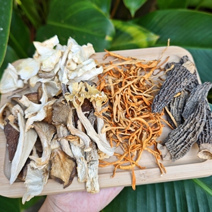 菌汤包全云南特产汤料鲍鱼菇白松茸鹿茸菇蛹虫草羊肚菌炖鸡食材