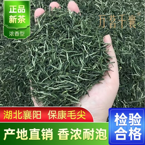 2026年新茶保康毛尖茶湖北茶叶