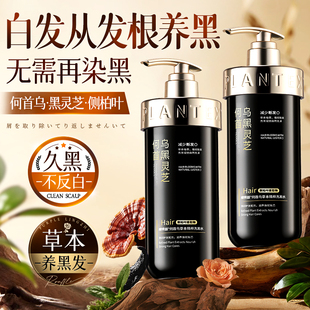 何首乌洗发水官方旗舰店变黑发神器植物纯膏露控油蓬松去屑黑灵芝