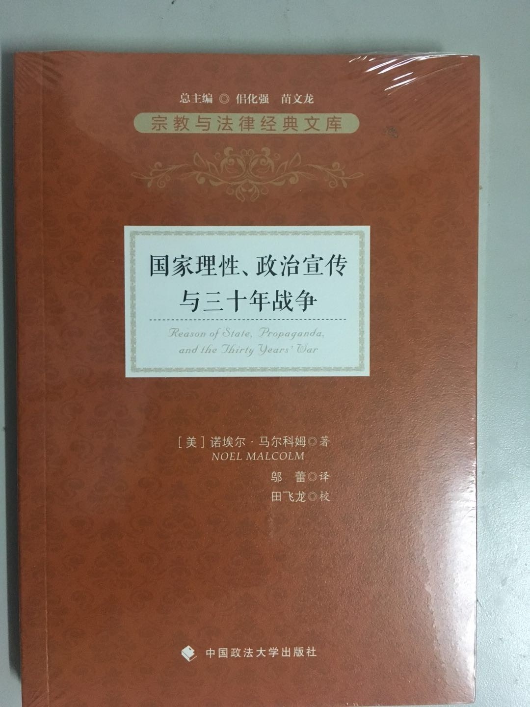 正版 国家理性、政治宣传与三十年战争 【美】诺埃尔。马尔科姆著 中国政法大学出版社9787562078043 书籍/杂志/报纸 法律文书写作 原图主图