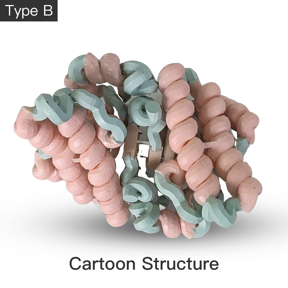 Customize Your Protein 3D Model