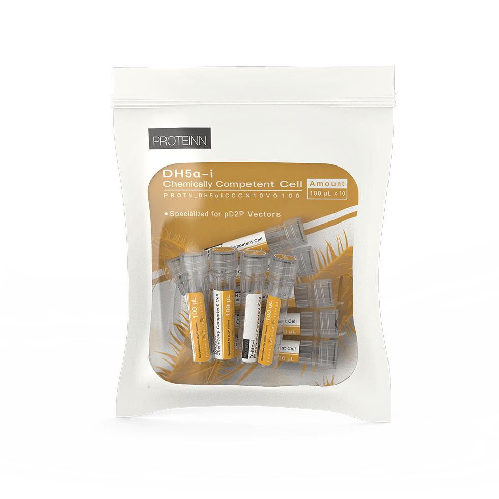 DH5α-i Chemically Competent Cell for pD2P plasmid