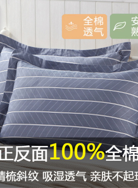 100全棉枕套一对装家用加厚48x74cm大号成人枕头套单人忱整枕芯套
